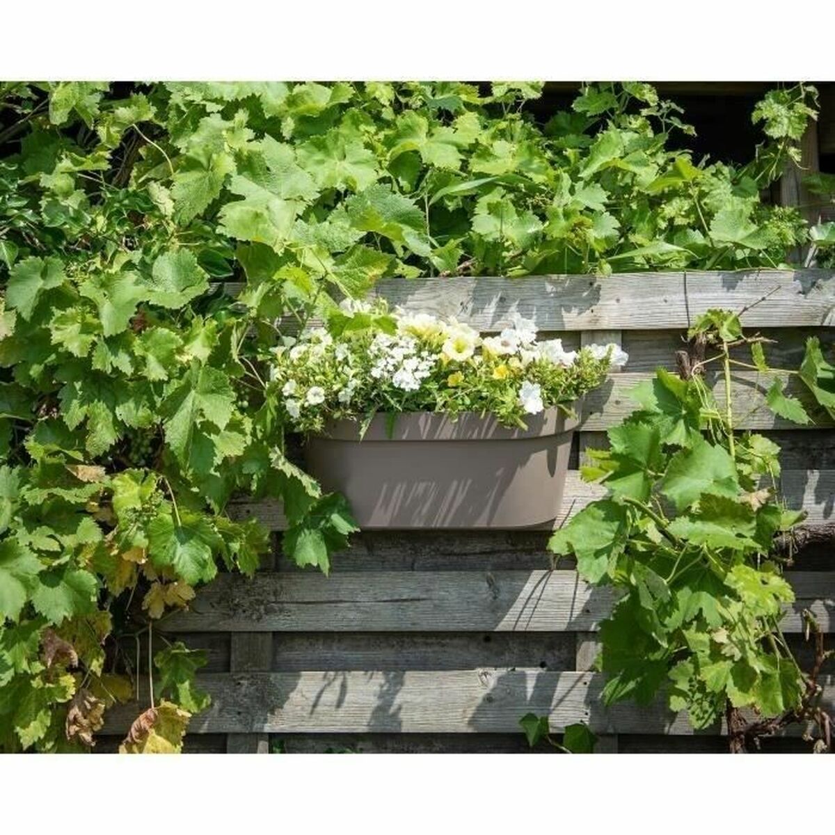 V6HF30E01429F0943A366F023CD8A2F916DR5288217P3