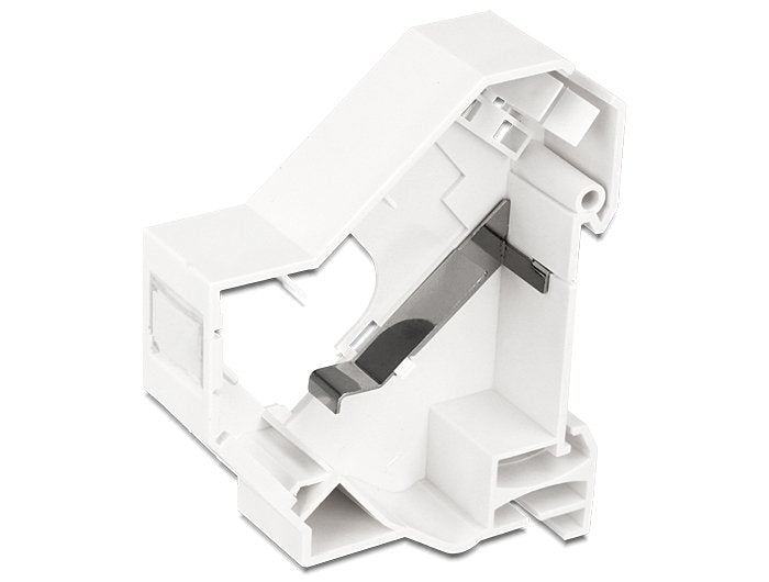 Delock Stand Keystone Riel Din With Socket Tierra