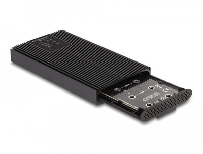 Delock External Enclosure USB 20Gbps 2 X M.2 NVMe PCIE — image 1