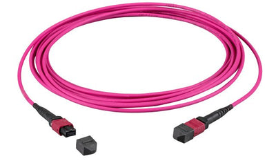 Efb Mtp(f)-mtp(f) Network Cable OM4 12 Fasern Type B Lszh Erika-violeta 3M — image 1