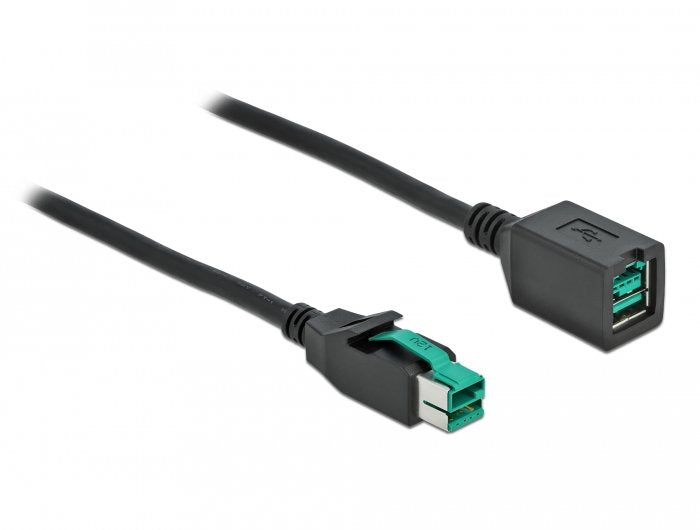 Delock Poweredusb Cable Alargador 12V 2M