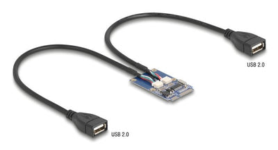 Delock Mini PCIE Adapter Full Size a 2 X USB 2.0 Type a Connector Female 30CM — image 1