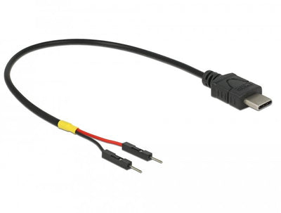 Delock Cable Power USB Type-c a 2 Pines Male Power Independiente 20CM — image 1
