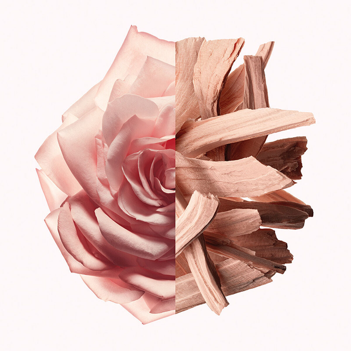 V6H4C4C5D73CD2087F0BEFB4F64BC079E68R5674604P3