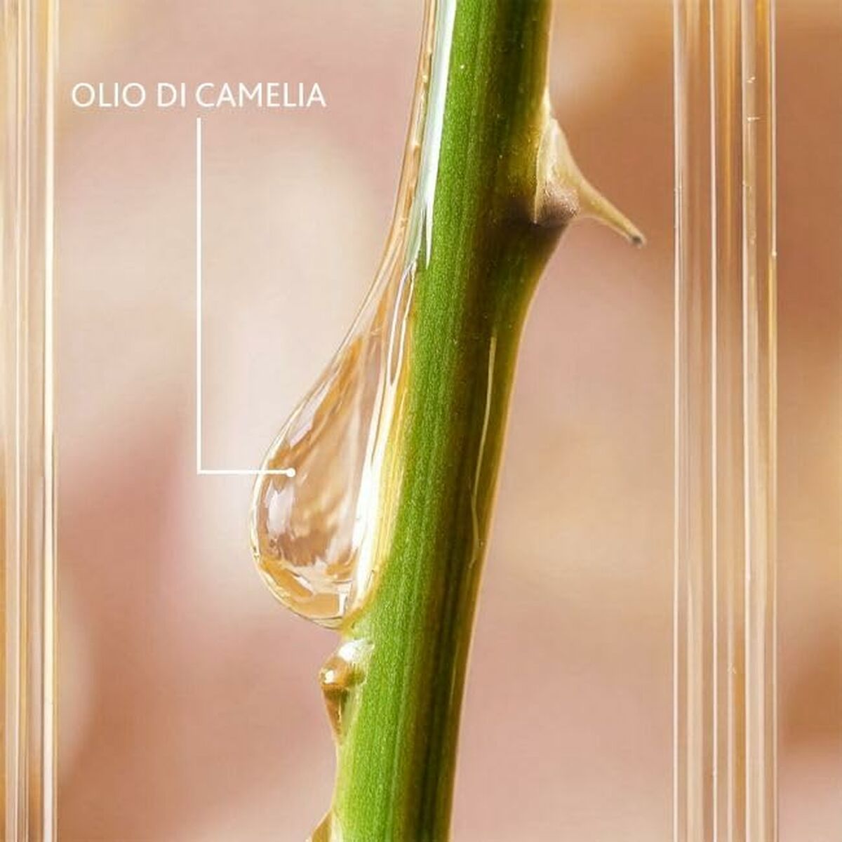 V6HB2581D415D1DA15A1CABD8BBBEBAE2DBR7717554P2