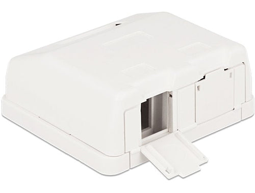 Delock Box Of Surface Vacia 2 Hembras Panel With Cover Polvo — image 1