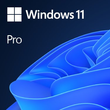 Microsoft Windows 11 Pro 64BIT French FQC-10532