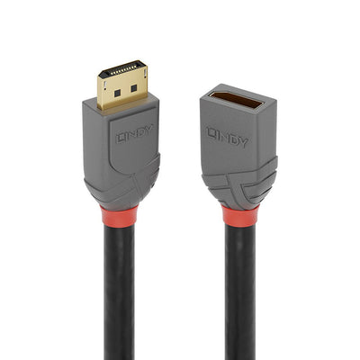 Lindy DisplayPort 1.4 Cable Extensión 0.50M, Line Anthra — image 1