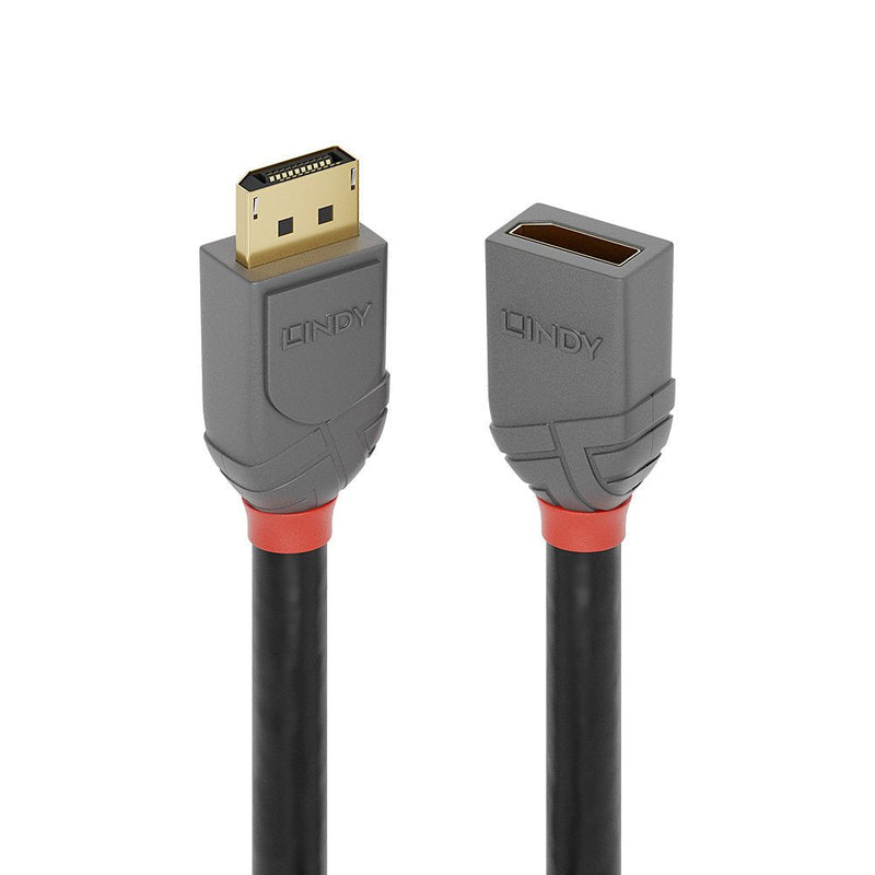 Lindy DisplayPort 1.4 Cable Extensión 0.50M, Line Anthra