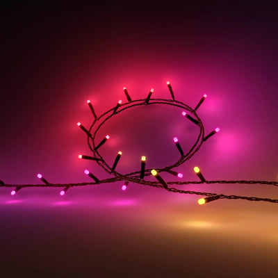 Philips Hue - Garland Festavia, Light White And Colours Adjustable 500 Micro Leds 40M, Resistant Water — image 1