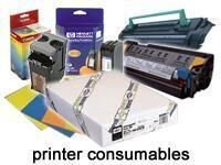Epson Paper Fotográfico Genuine Adhesive Synthetic 44 X 30,5M - C13S041619