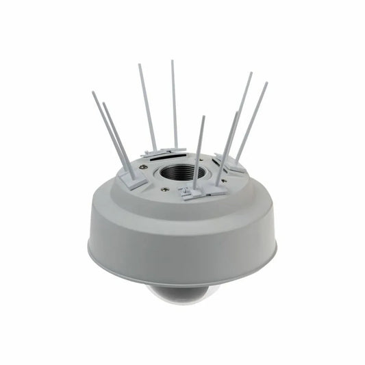 V8HFD5A7BE95AB20D61D5D41E2C0F229247R4157737P1