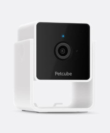 Petcube Pet Cam