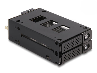 Delock 47019 Shelf Mobile Phone Bahía Delgada 2 X 2.5? U.2 NVMe SSD — image 1