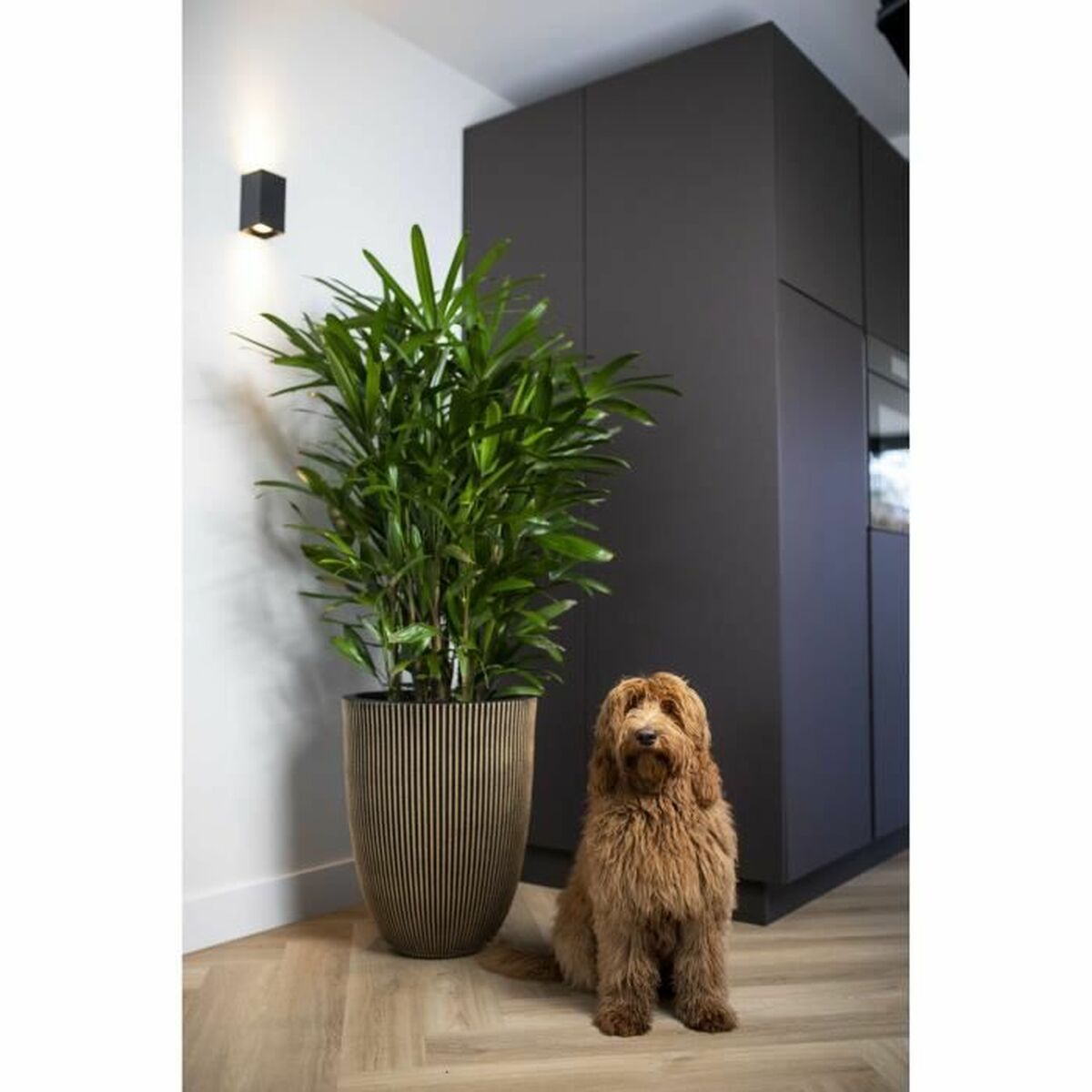 V6H2DD4D07B392C2055E4E79288413B982DR4917092P3