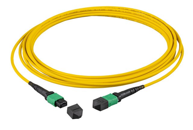 Efb Mtp Apc(f)-mtp Apc(f) Network Cable OS2 48 Fasern Type a Lszh Yellow 5M