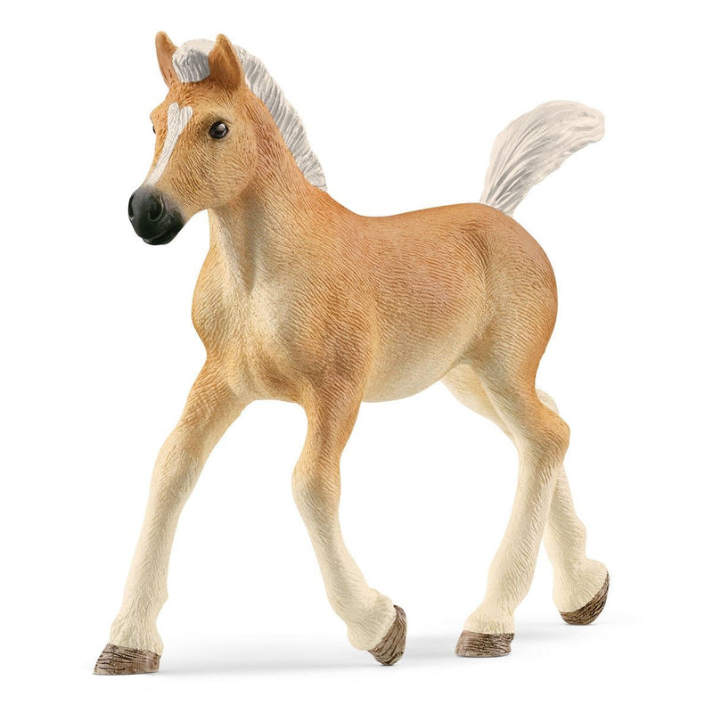 Schleich Figure Horse Club Haflinger Potro, 13951