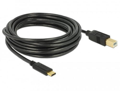 Delock USB 2.0 Cable Type-c a Type B 4M — image 1