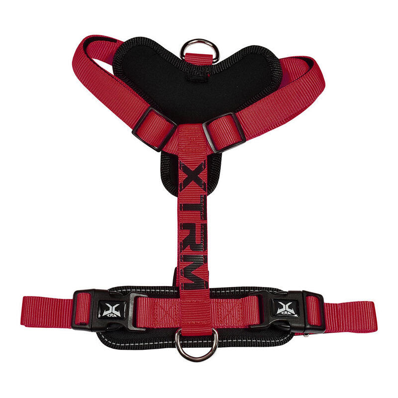 Arnés X-trm Cronos Neon Flash Red/Black T-l 25MM X 60-100CM