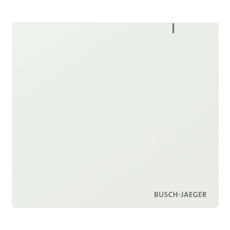 Busch Jaeger Bj SAP.13 System Access Point 3.0