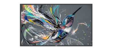 Monitor Public 43 43BDL3511Q/00 Q-line 43 Q-line, 18/7, 4K Uhd, Basic Failover, — image 1