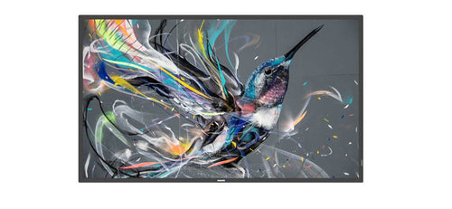 Philips Monitor 50 50BDL3511Q/00 Q-line 50 Q-line, 18/7, 4K — image 1
