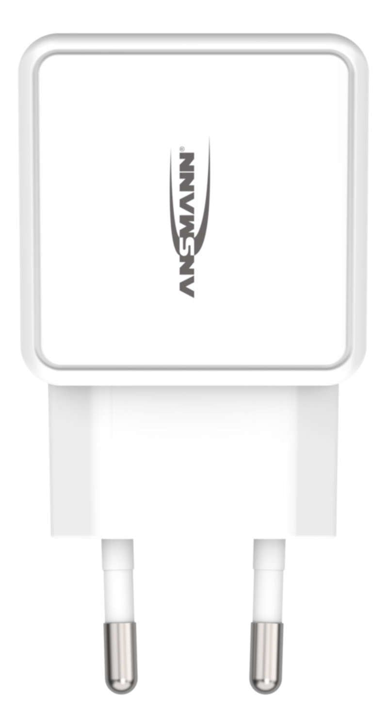 Ansmann Charger Domestic HC218PD, Charger 1001-0111