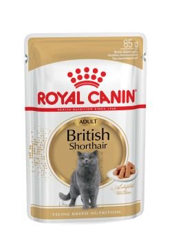 Royal Canin Paquete British Shorthair 12X85G