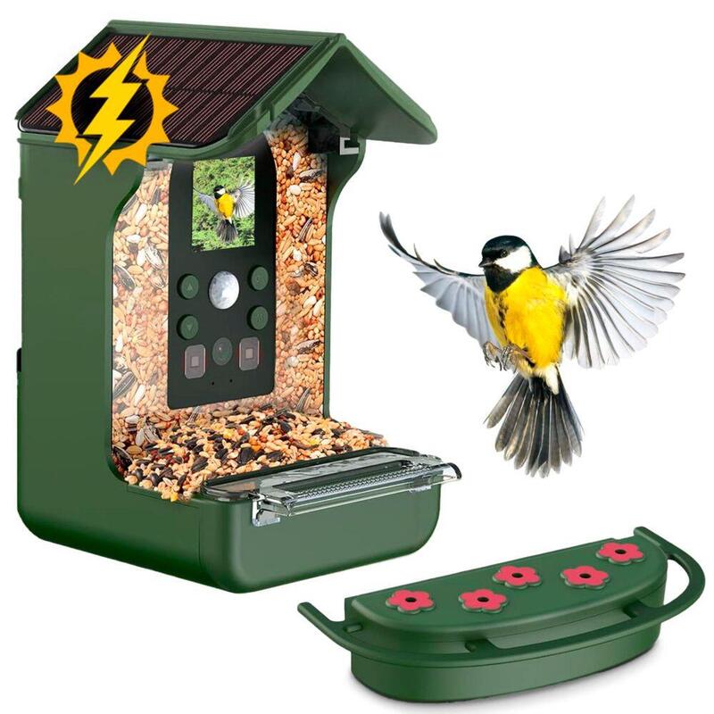 Easypix Camera Pájaros