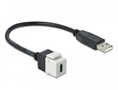 Delock 86382MÓDULO Keystone USB 2.0 C Female USB 2.0A Male With Cable — image 1