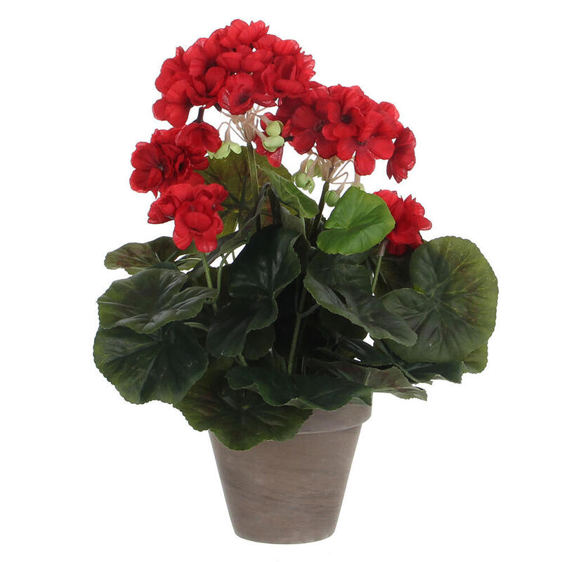 Geranio Red Pvc With Plant Pot Grey