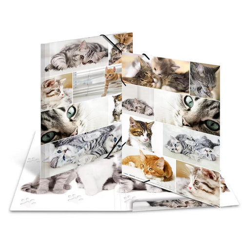 Herma Folder Clasificadora A3 Katzen Pappe — image 1