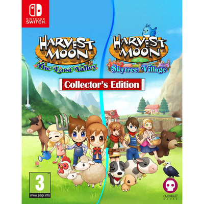 Set Harvest Moon:l.valley & S.village Col Switch — image 1