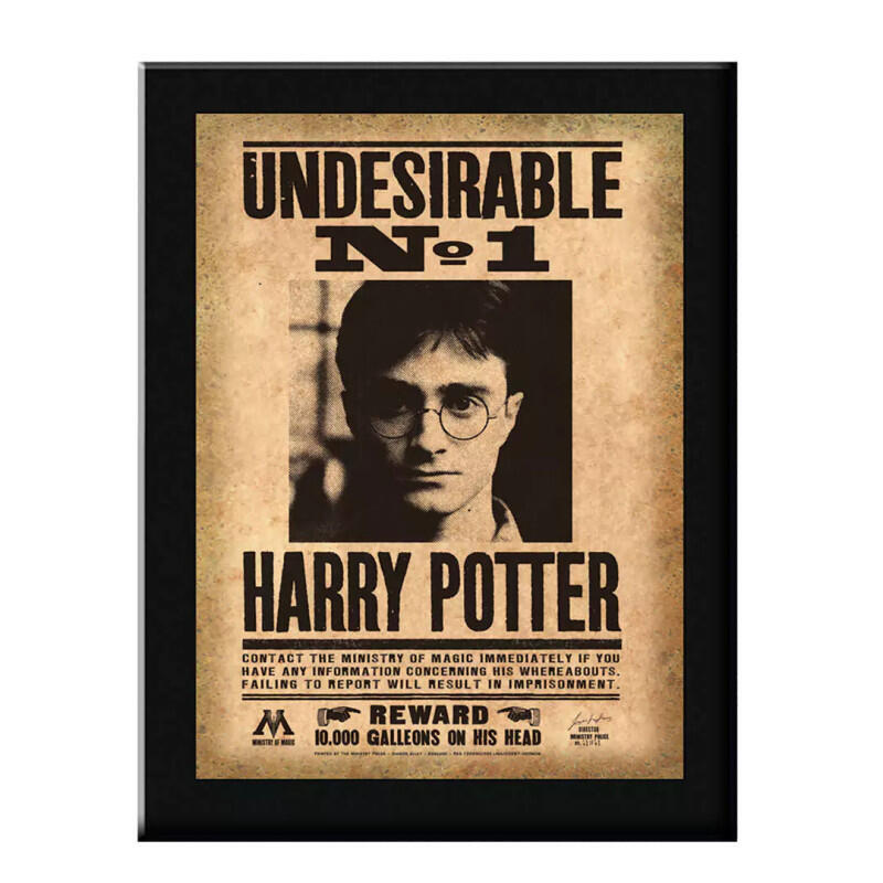 Replica Board Undesirable N°1 Harry Potter