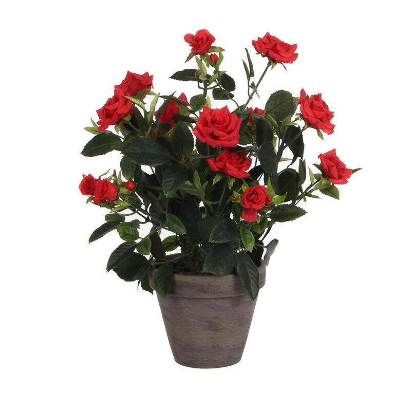 Rosal Colour Red Pvc With Plant Pot Grey