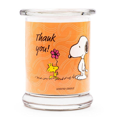 Peanuts Candle Aromática Thank You - 250G — image 1