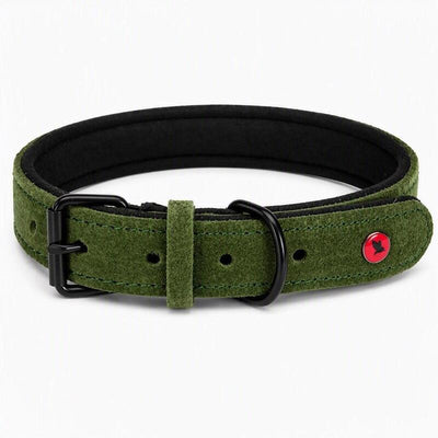 Zolux Collar D/Psa Skórz.komfort 30CM/14MM Green — image 1